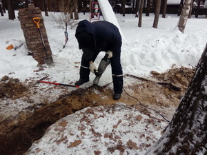 Пересадка деревьев (крупномеров)